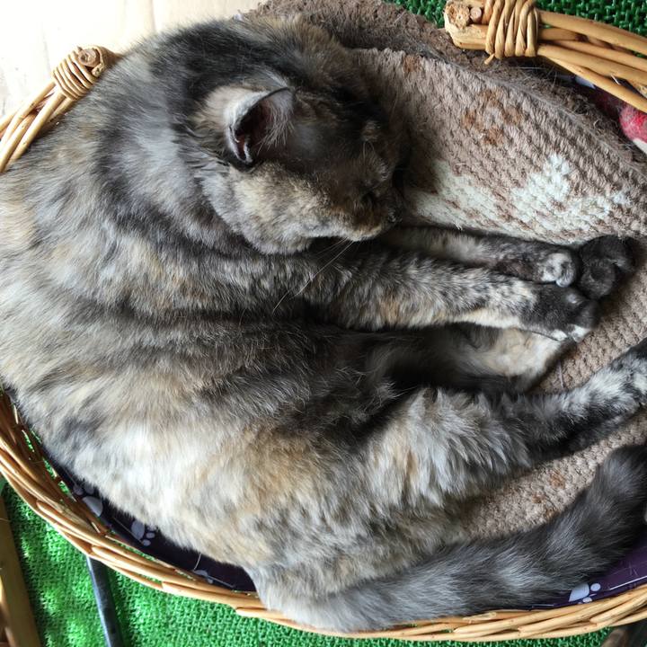 Ba6642bd 9d2b 4784 b87f a6f8b997726e