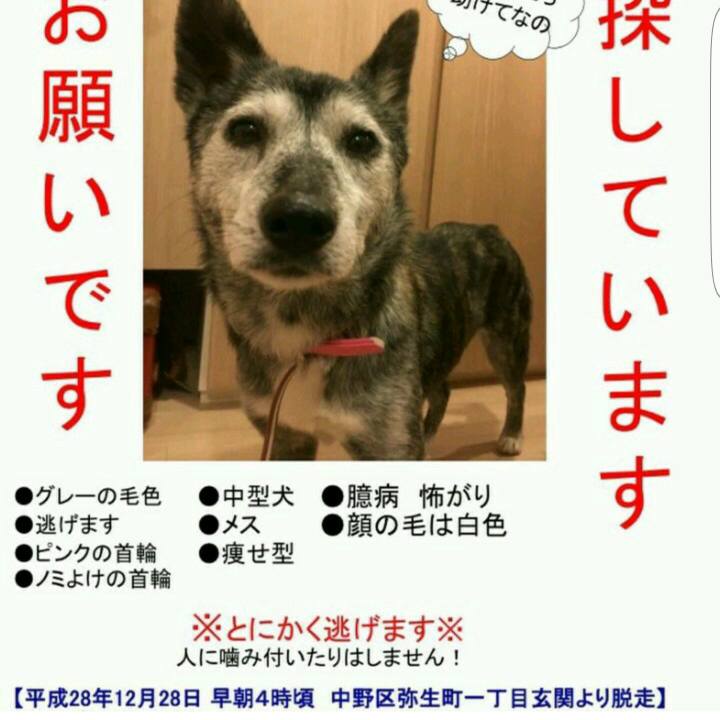 Ba6727cd 47c4 429a 8c78 503f90500980