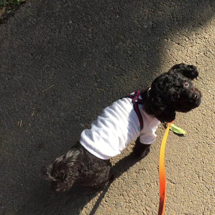 Ba676335 a09a 4788 81e4 dcdca194342e