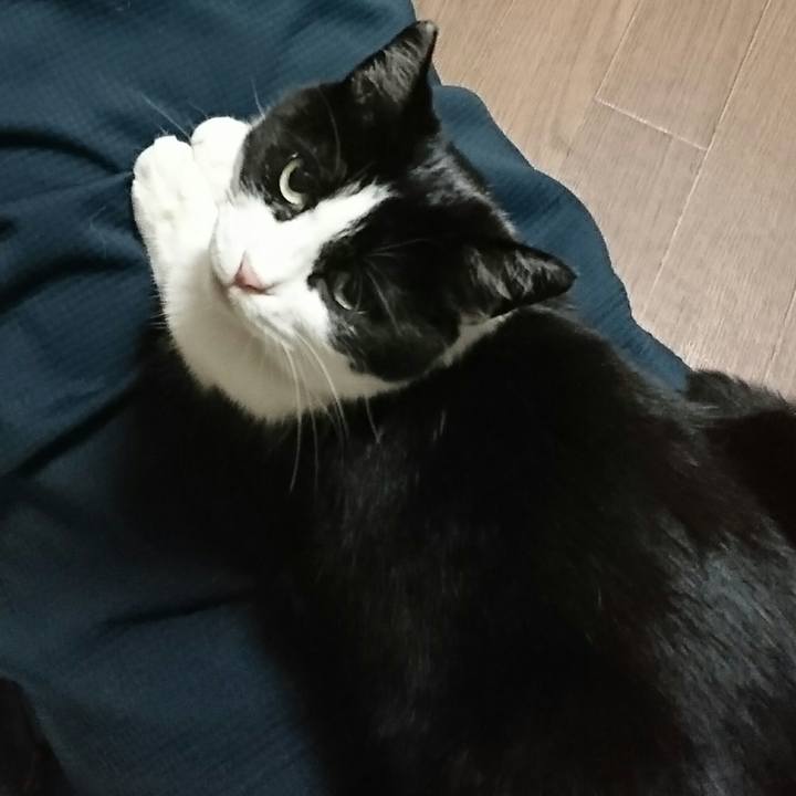 Ba686f9d a3cc 4e2e a42a ba16fe43fee0