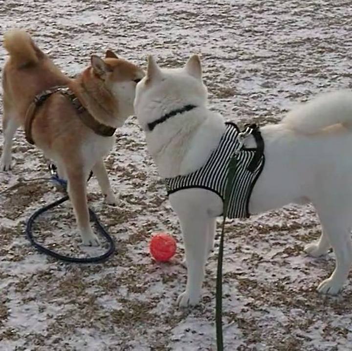 Ba6889a3 0841 4320 a2b9 e6070715f1de