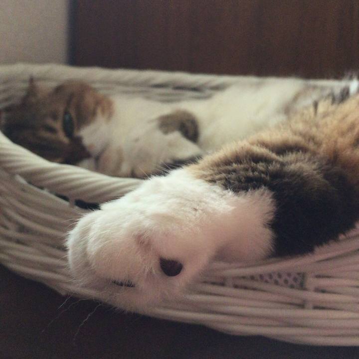 Ba688d68 15ba 4278 89db 386a753212de