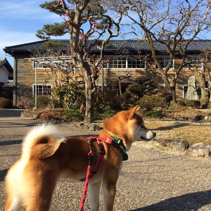 Ba6adcad e394 4db5 9140 24bb8d8224e6