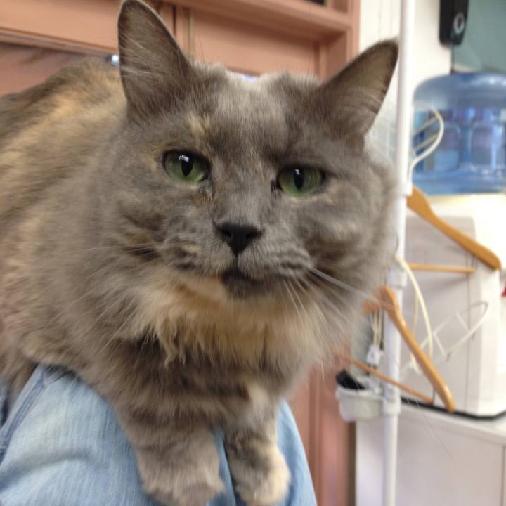 Ba6aec17 d6d8 4ecc 82e8 ec8e9f38664f