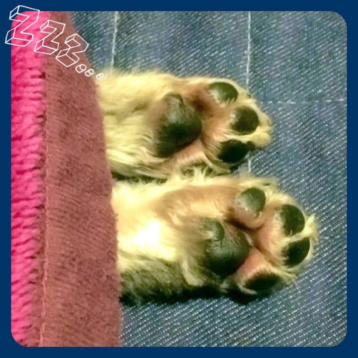 Ba6b9a47 38af 4a4f bf66 8dbfbe2f85df