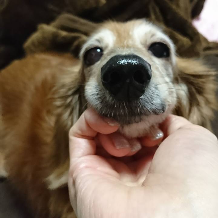 Ba6bb110 cebf 4503 9deb 1f045fd564ff