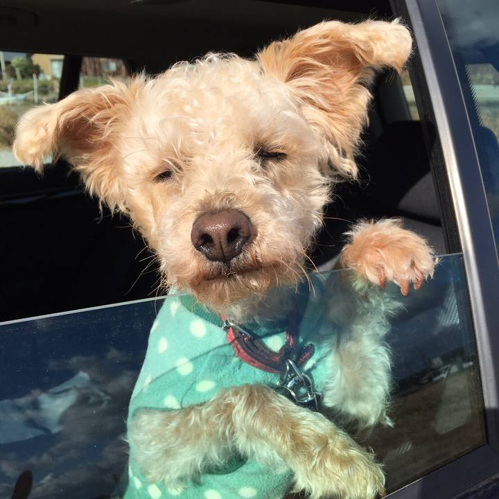 Ba6c24b6 5dca 417b 9d0c 328da9d63b05