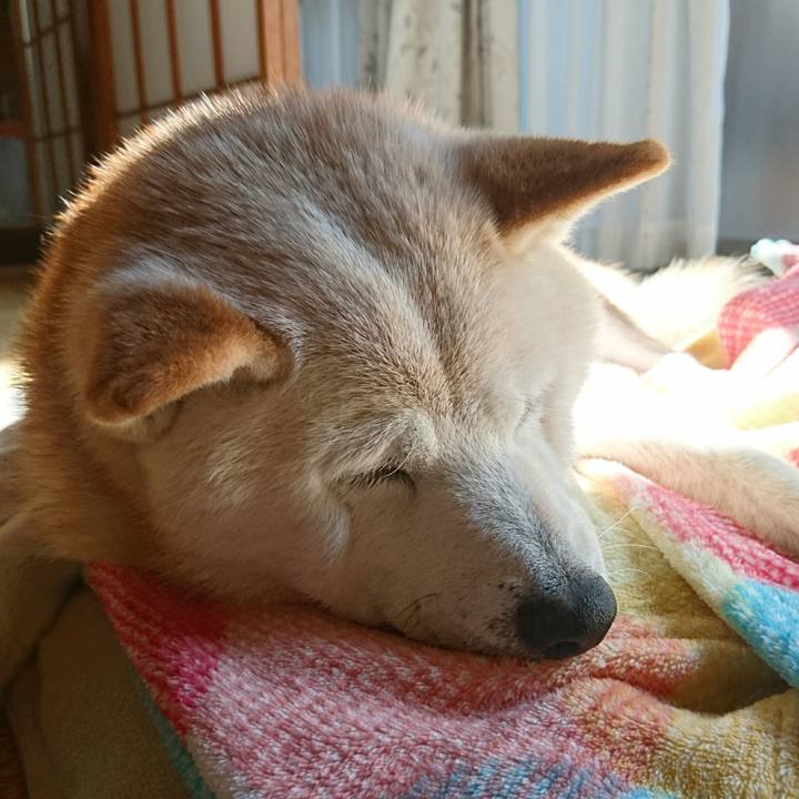 Ba6c6884 e3b0 4610 8b43 3f62e21d3c3e