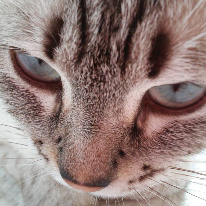 Ba6c82ba 0fbd 4f45 858d 16ee6703bd7a