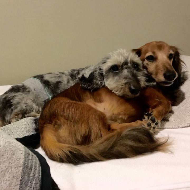 Ba6d1697 f6b7 4be6 88fd fc143c5db65a