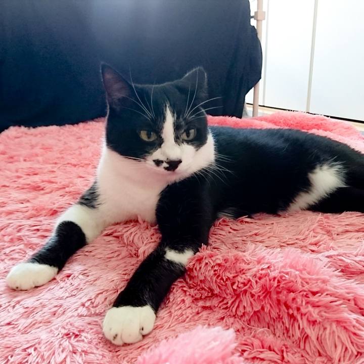 Ba6d18de 0190 46c7 9d3e 33c538471f69