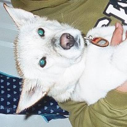 Ba6ea33e ffbb 4429 9e2b af975e3cbdea