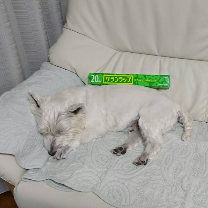 Ba6fcd3e e3d3 4ddc 8586 ad2cfd67e168