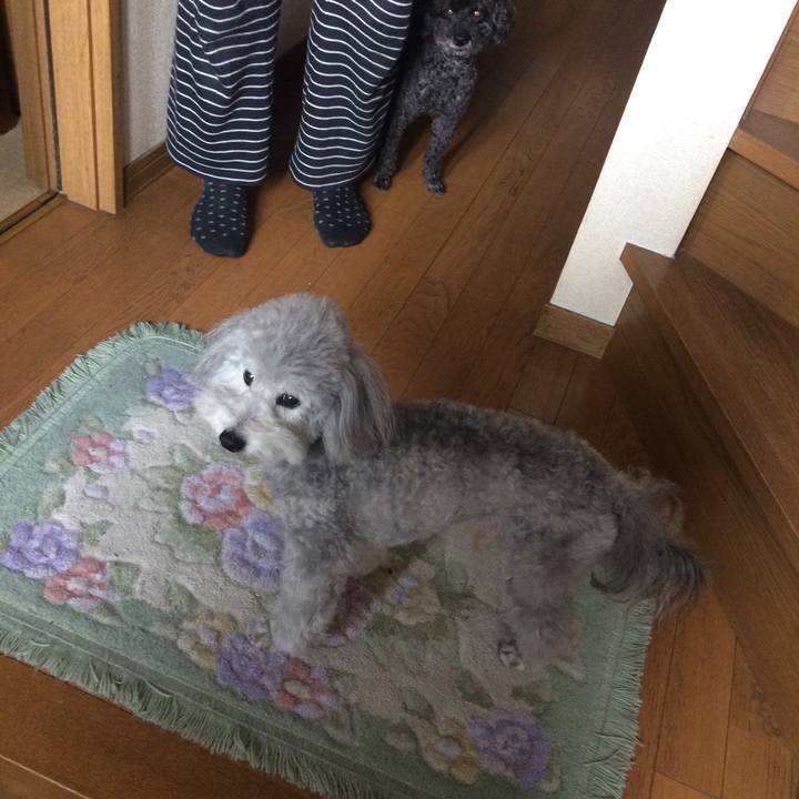 Ba6fd979 08e7 4fa5 9c27 fc9774cfe139