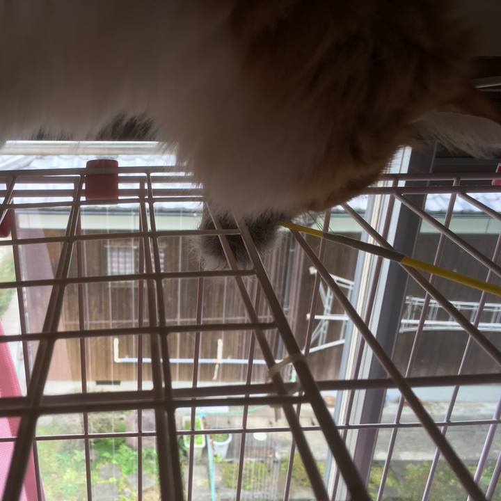 Ba6ffdbf 7629 4902 87b3 44175ebafa22