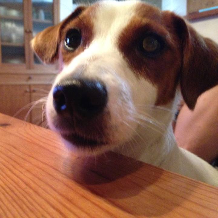 Ba714855 a4a6 4cfe 9a86 314602727ce7