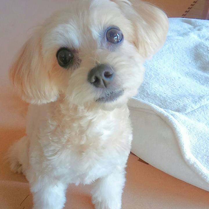 Ba718ac1 d7b8 40c0 b93d aebeff3e931a