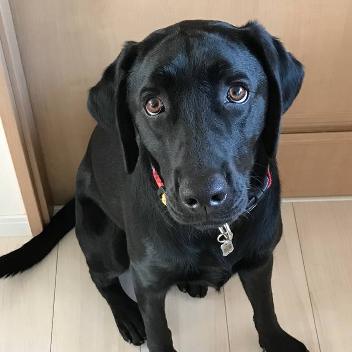 Ba7215a9 de8c 4003 8dc6 abb6167e487d