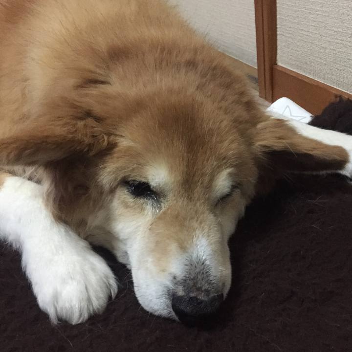 Ba72cebb 44da 463b a371 aad2878b130c