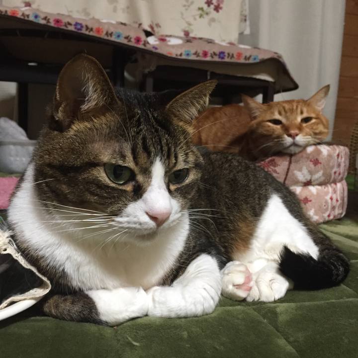 Ba733578 1a33 4c27 aed9 6fc22cc3482d