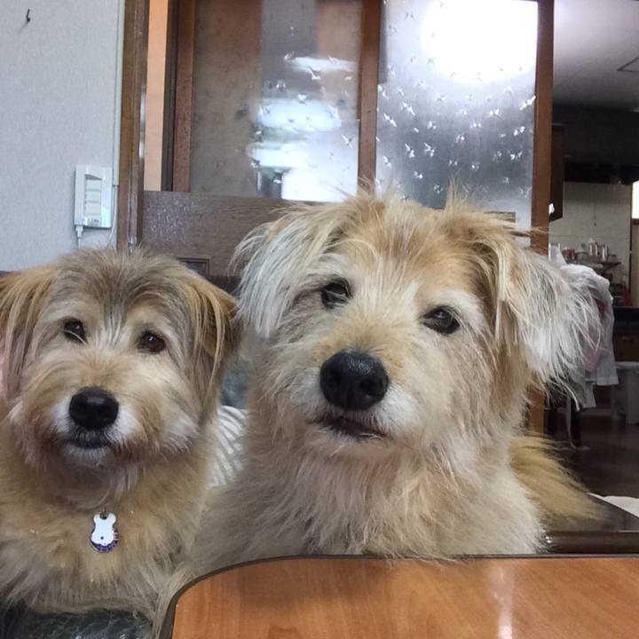 Ba7378c6 868e 4ba3 8f60 9a40a1e569c6