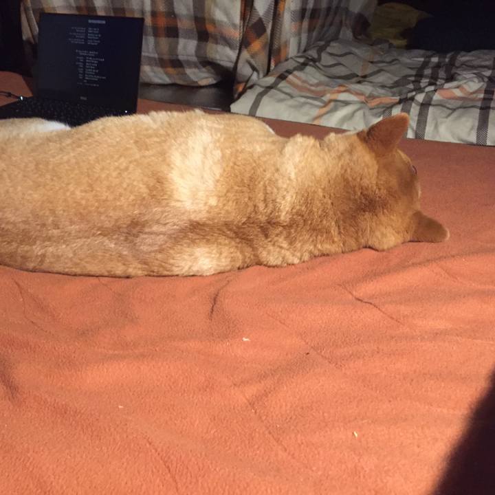 Ba73c594 691e 4ade 872a c907927f3fb6