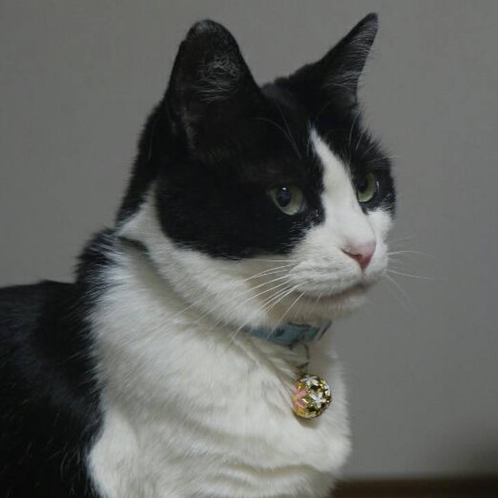 Ba741b4c 2fac 4fb9 97b9 a84c8732fa88