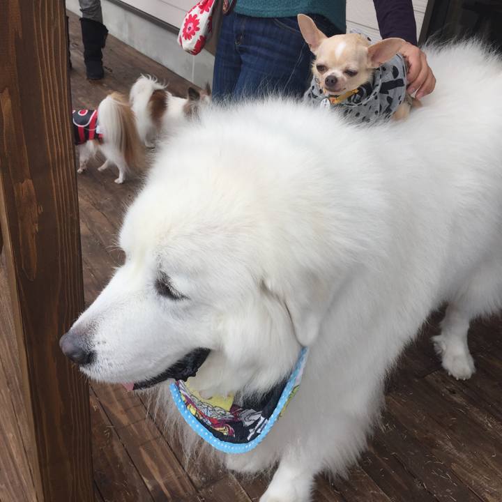 Ba743688 38a5 4285 bb0f 96eac7d97e9b