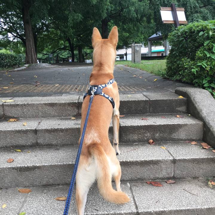 Ba749bcb 7bd0 4a4d a0a2 c0232e3da860