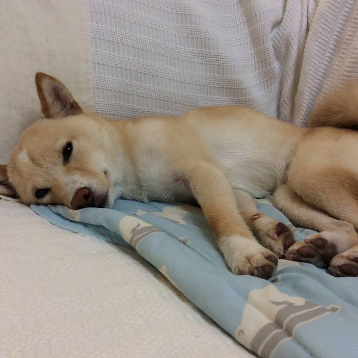 Ba753f2b 4fb4 4de1 bfe9 d0053d8603b4