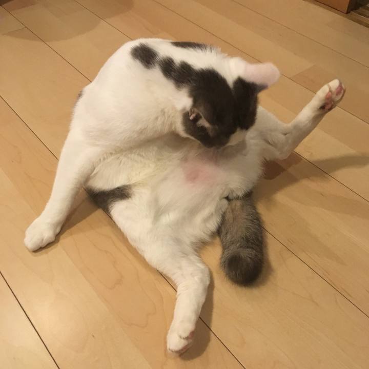 Ba75853e 8bbd 4bd9 91c1 39da39c23b5d