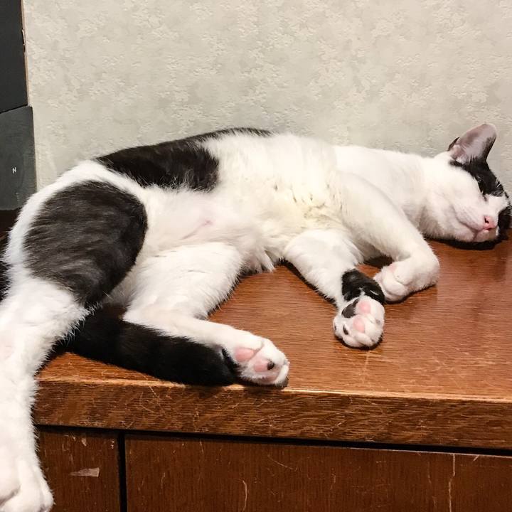 Ba75a12d b165 49f9 95e8 0ce9c0ade879