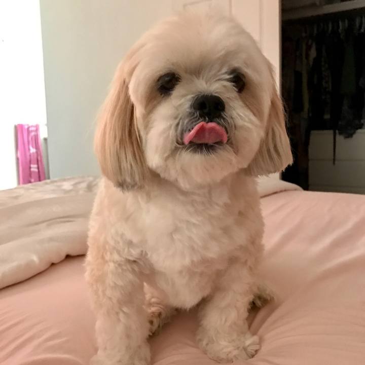 Ba767e33 1e38 4a7f a74a 58d17a915db3