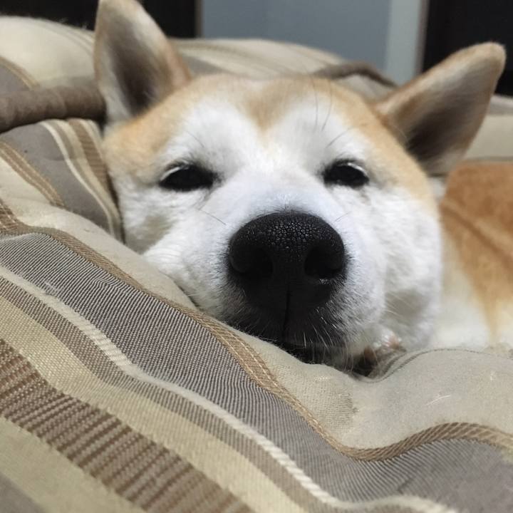 Ba773a13 cb47 47f0 8207 2a016c5b11cc