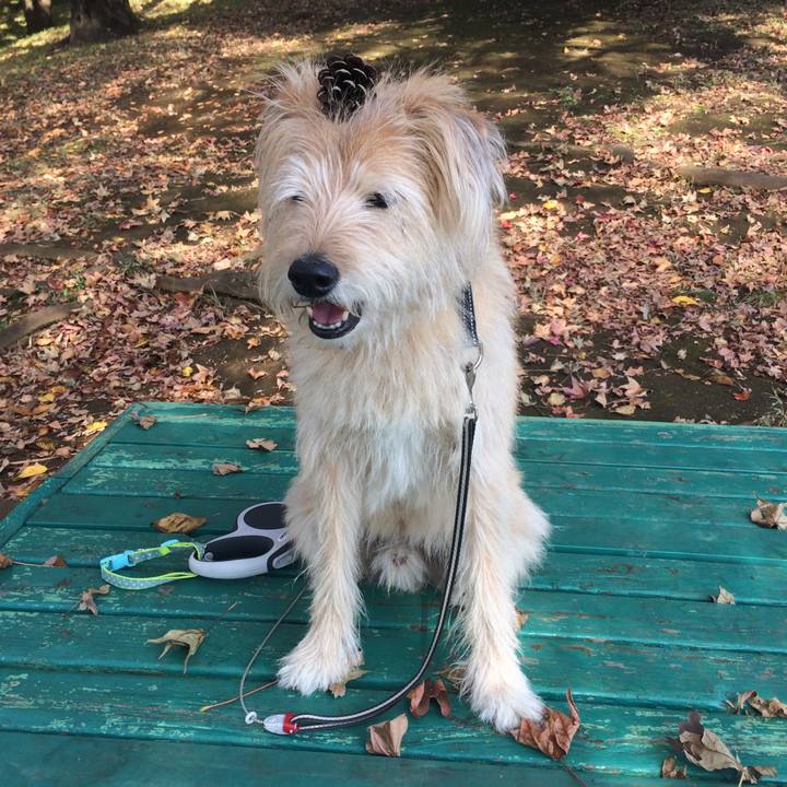 Ba782e2b 00ef 4f2a a0e3 687e10f63a4a