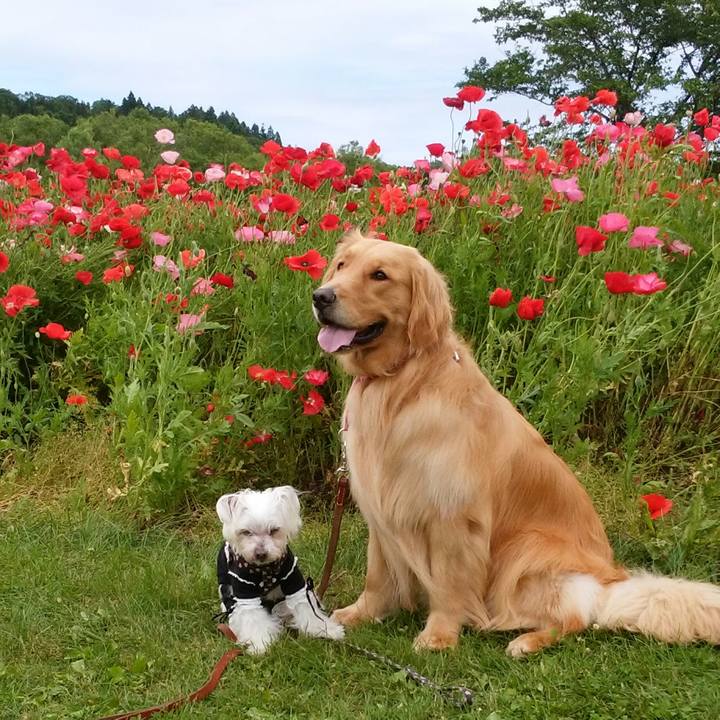 Ba785fb5 2c55 4fdc a6d1 2de31d10d6ed