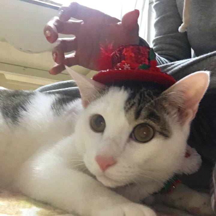 Ba78a944 7ca9 4298 b44d c007a3cf45bc