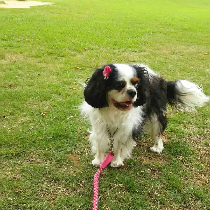 Ba7939c8 2e72 4ebc bd42 c6cffd7d8bd0