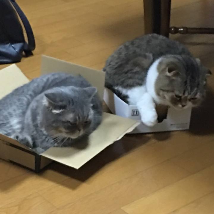 Ba7997cd fa16 4666 9696 a7520eacb25f