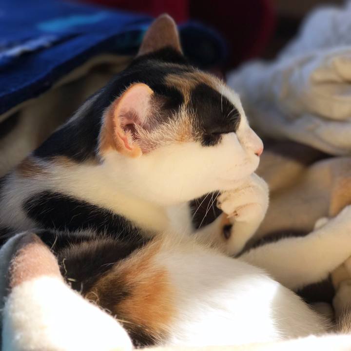 Ba7a17bf 1219 401b ba14 9d0c7c6b4ac5