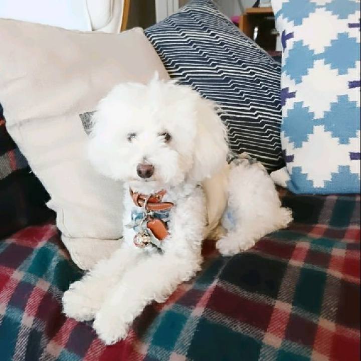 Ba7a4ada 699f 47d9 9c4d fbf8945bf269