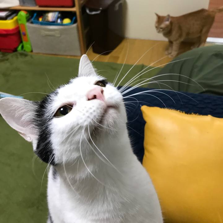 Ba7a5308 0e21 41ba be4b cbf00063cdd9