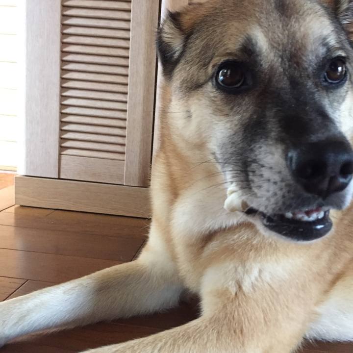 Ba7afd03 20ee 46ff a843 5c9de8ce27dc