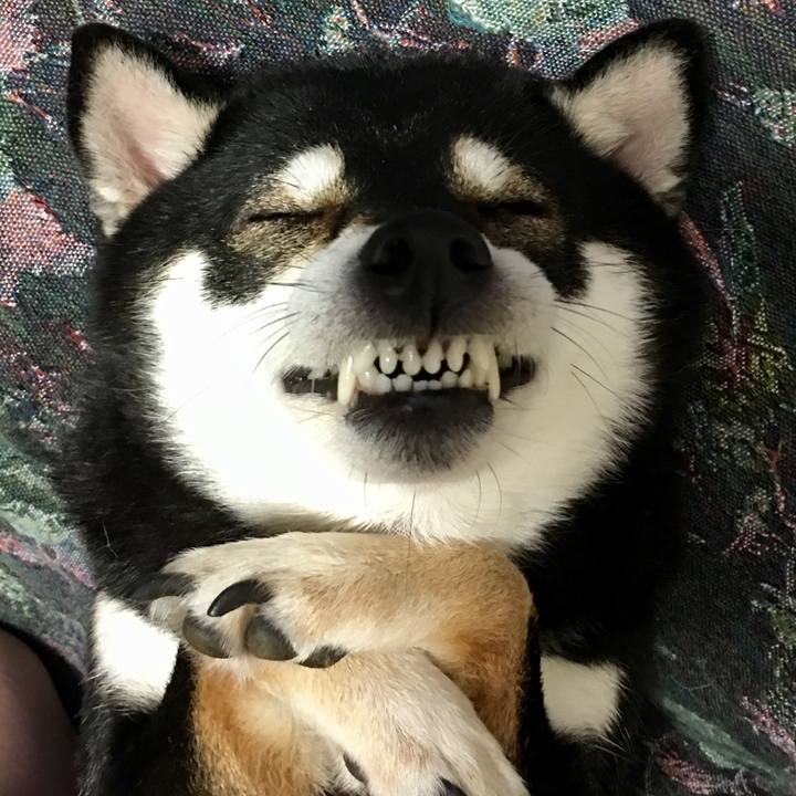 Ba7b68a1 0693 4cf8 8541 2297f302b1e0