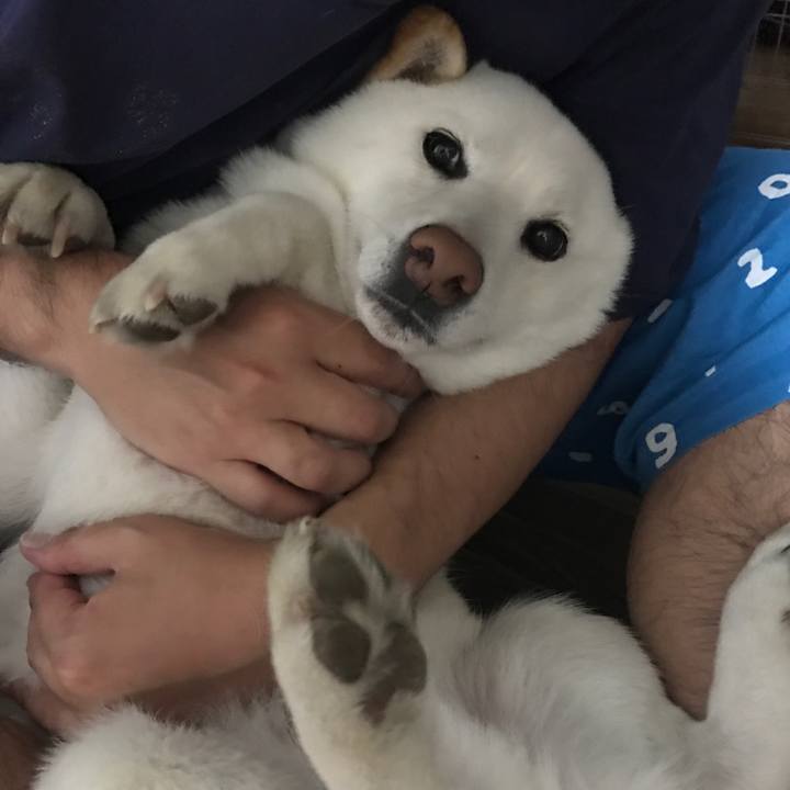 Ba7be773 7a5d 4759 a181 709ef55c2dbe