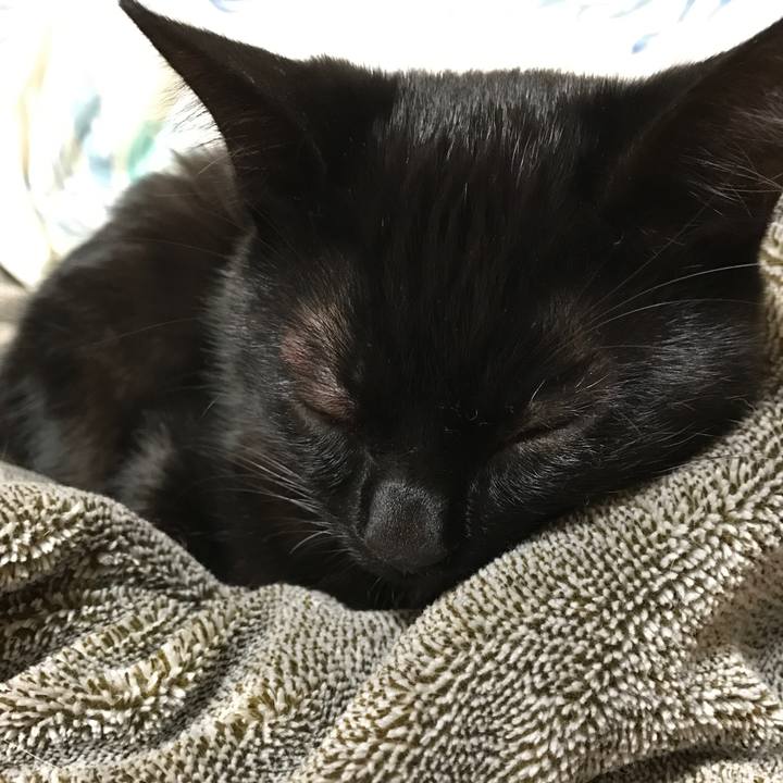 Ba7c0576 eb24 4b18 9be6 9bae8a0ecf97