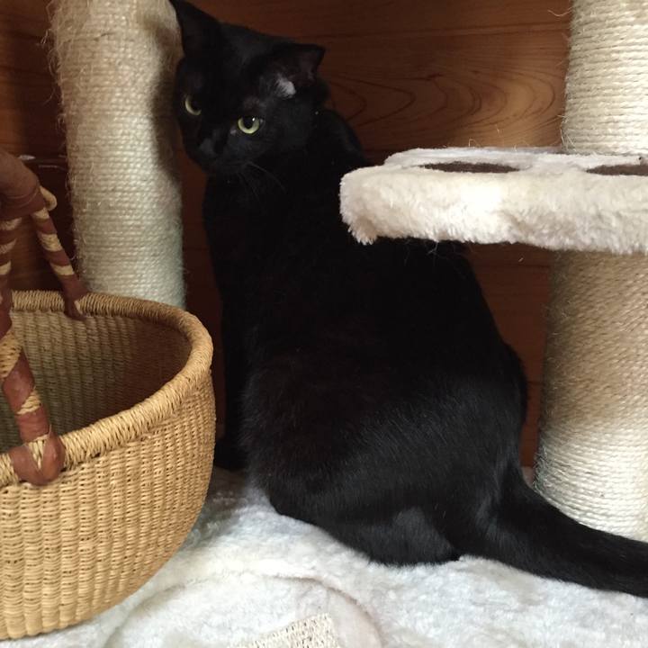 Ba7cc5ce 1cff 44bd 8281 a7f0b3f7cf16