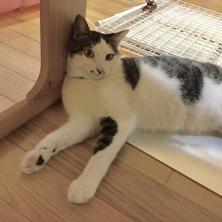 Ba7db294 0831 43d0 a941 b671209dedbf