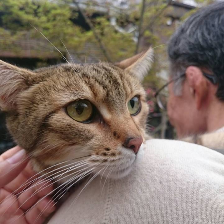 Ba7f4848 cc29 42b5 bbfb 1cf800edd85b