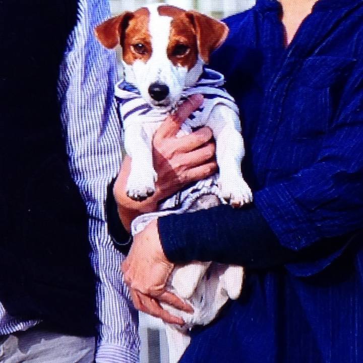 Ba7ff137 80a0 49a0 bef7 6221382a64b4